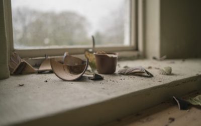 A Recap Article to the Attachment Styles Series