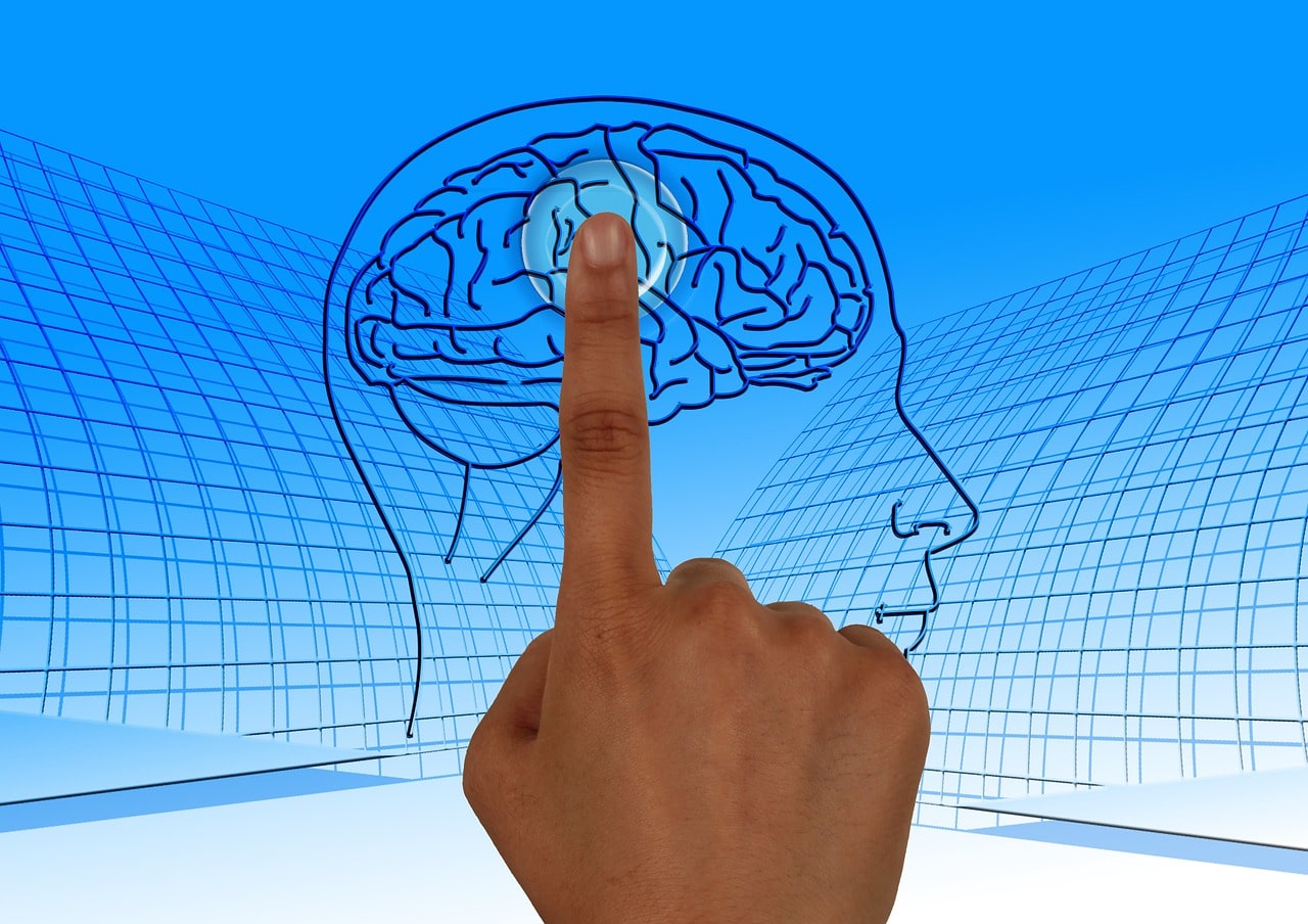 brain inflammation and severe mental health - cptsd foundation