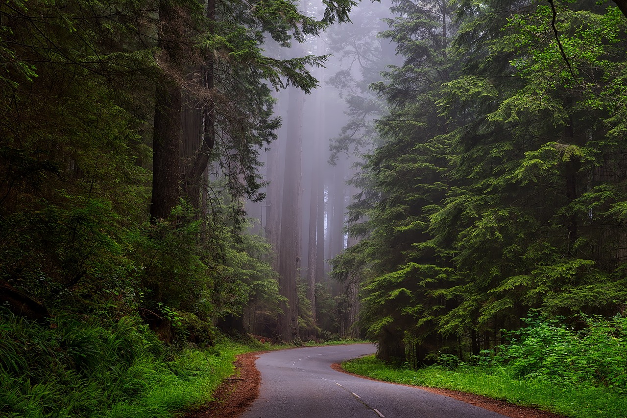 This is Not My Destination not my destination - a survivor story at cptsd foundation