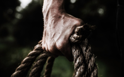 A New Beginning, A Survivor Story of Never Losing Hope.