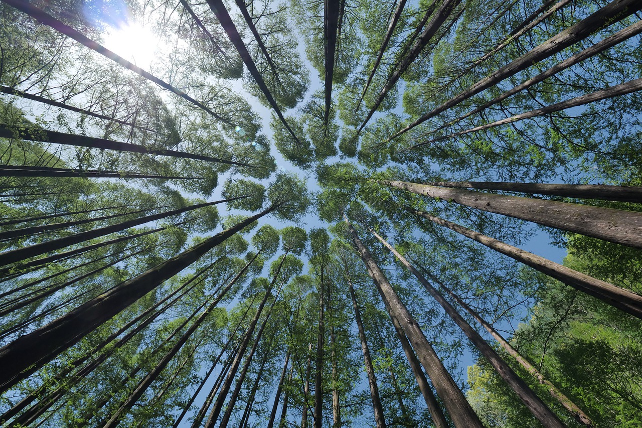 healing benefits of mindfulness, prayer, and meditation