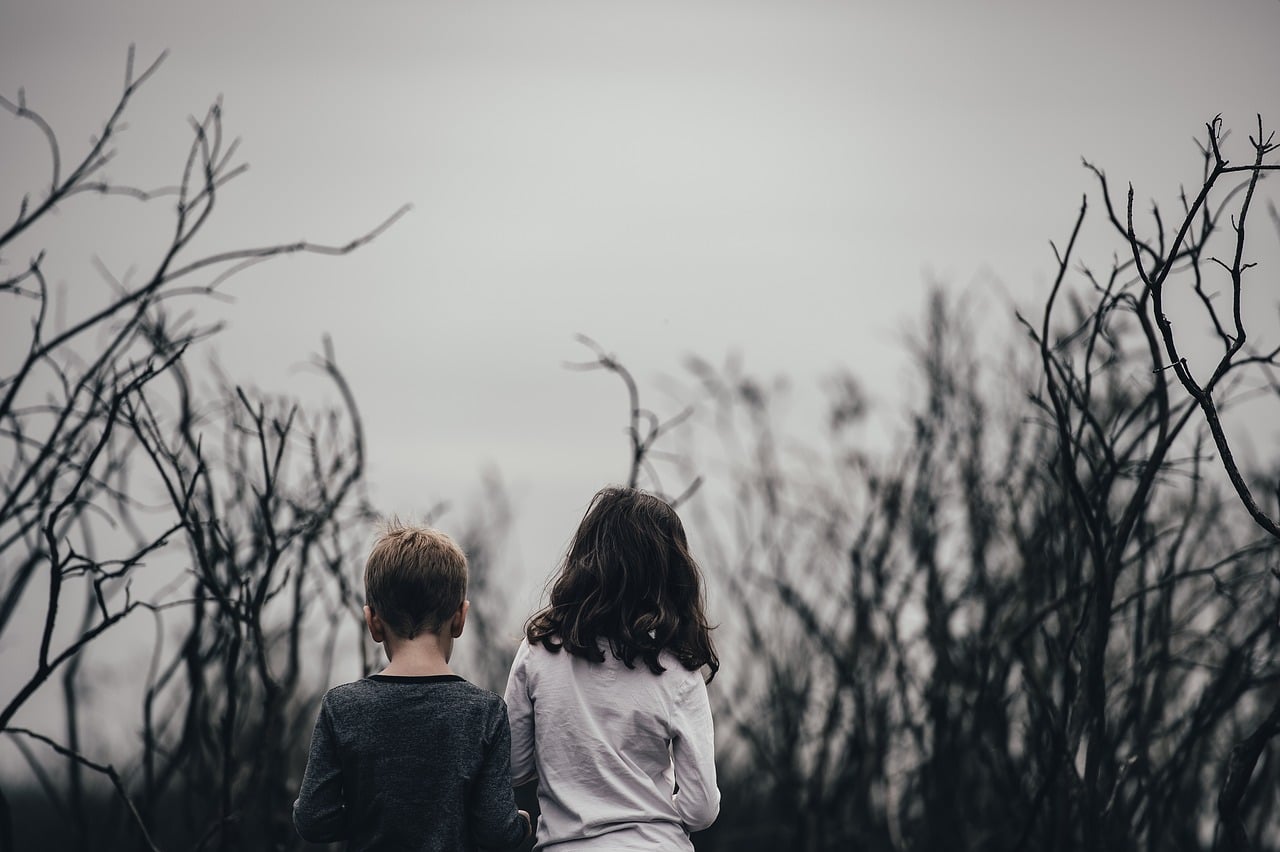how trauma impacts youth in foster care - cptsd foundation