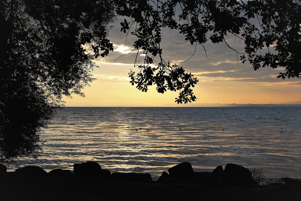 using mindfulness to help heal from cptsd