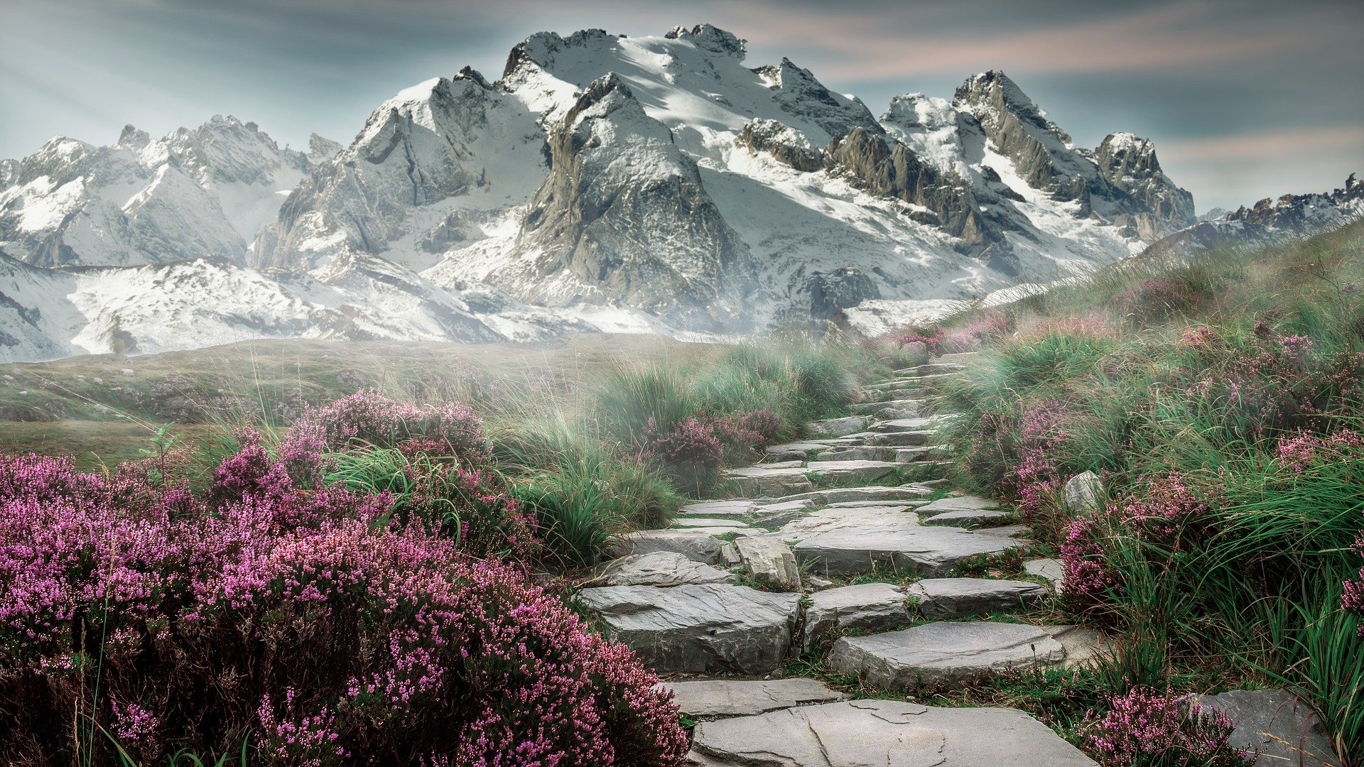 Overlooked, Revived, and Climbing - Survivor Poem - cptsd foundation stock photo