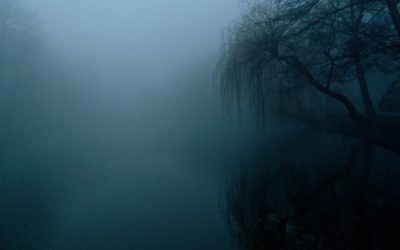 Let’s Talk About the Fear Response and Fighting the COVID-19 Virus