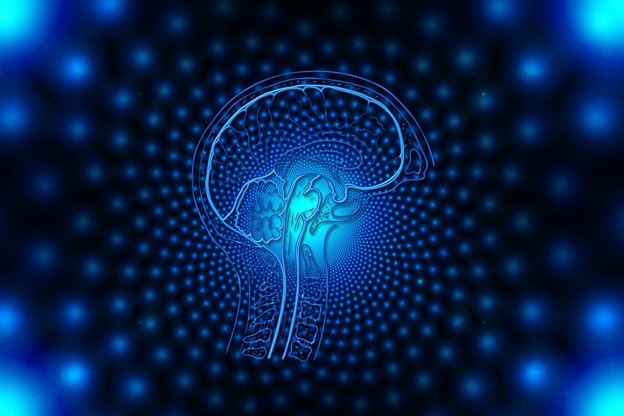 Polyvagal Theory and Hope In Healing from Childhood Trauma healing from childhood trauma and the polyvagal theory - cptsd foundation