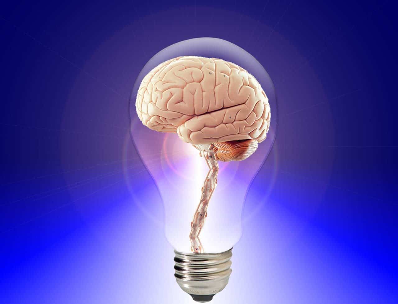 Poly What? Understanding Polyvagal Theory understanding the polyvagal theory - cptsd foundation