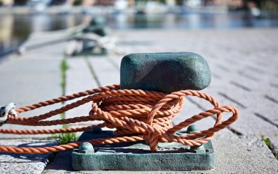 The Trauma Bond and Healing from Narcissistic Abuse