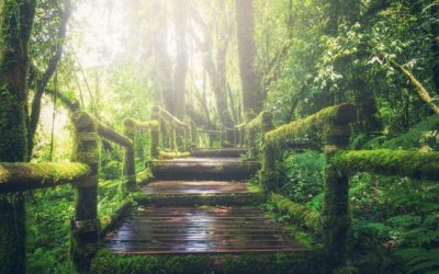 Jack in the Box – Part Three ‘An Ongoing Conclusion’