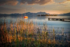 When Developmental Trauma Pulls You In.