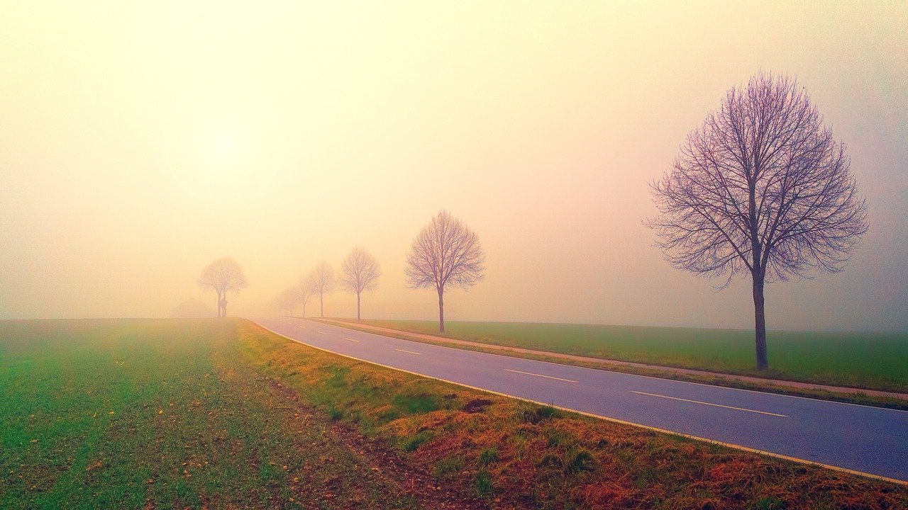 childhood sexual abuse recovery - cptsd foundation