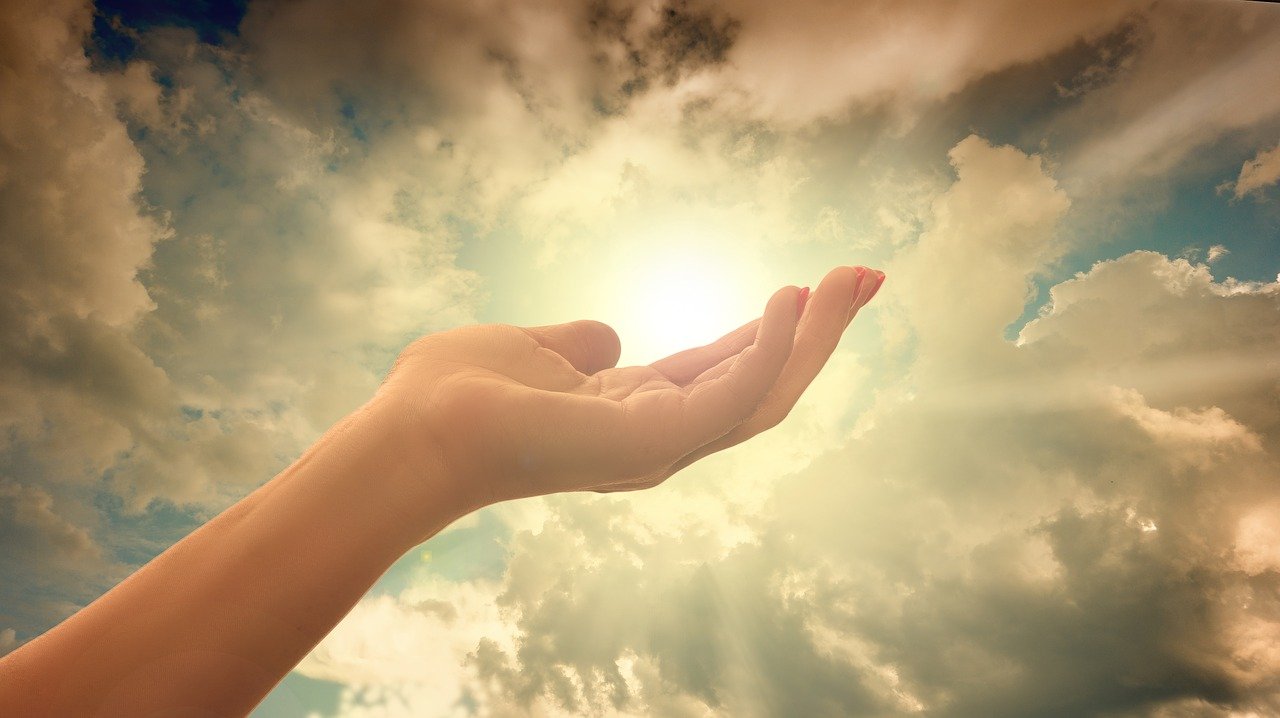 override the system - guest post - cptsd foundation