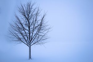 seasonal affective disorder - cptsd foundation