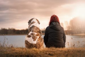 why pets are better than people - cptsd foundation guest blog