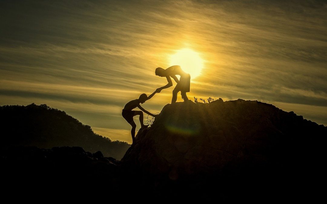 seek help, you are halfway there - guest blog - cptsd foundation