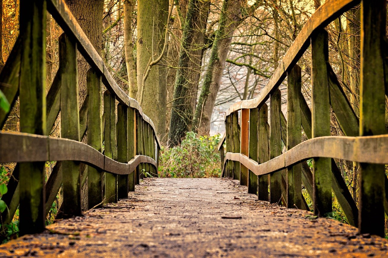 The Bridge Within: A Story of Self-Healing Part I the bridge within - story - cptsd foundation - part 1