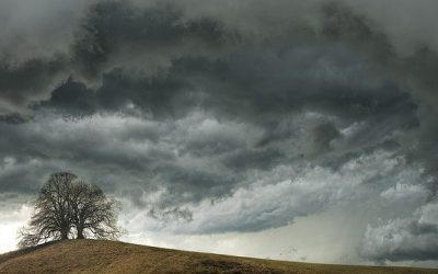 The diagnosis of Complex PTSD