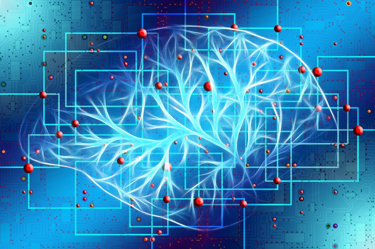 neurobiology of trauma - cptsd foundation