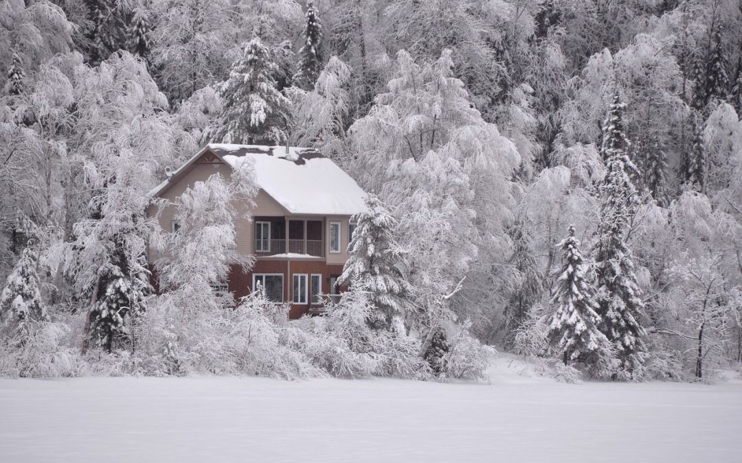 The Dissociation House