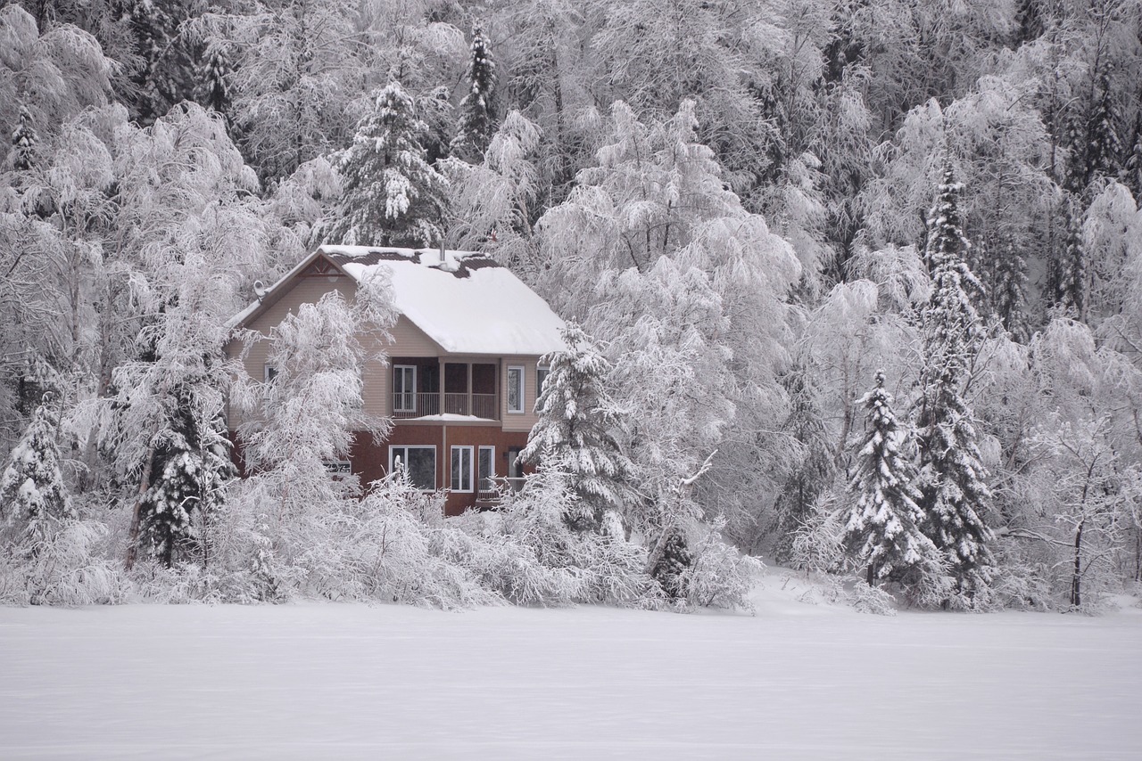 the dissociation house - guest blog post 1 - cptsd foundation