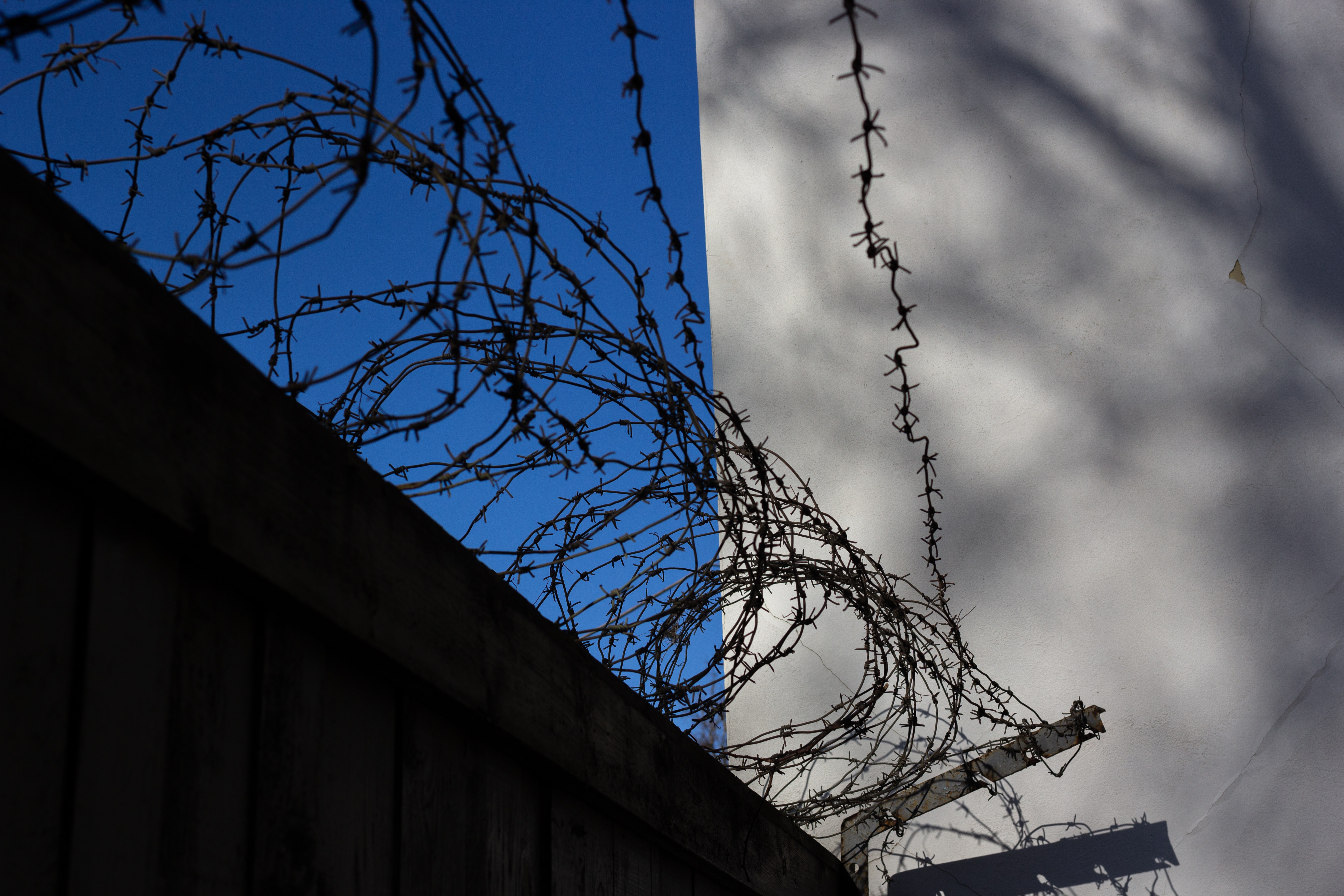 The War at the Border and Its Effect on Adolescent Mental Health pexels-plato-terentev-9808750