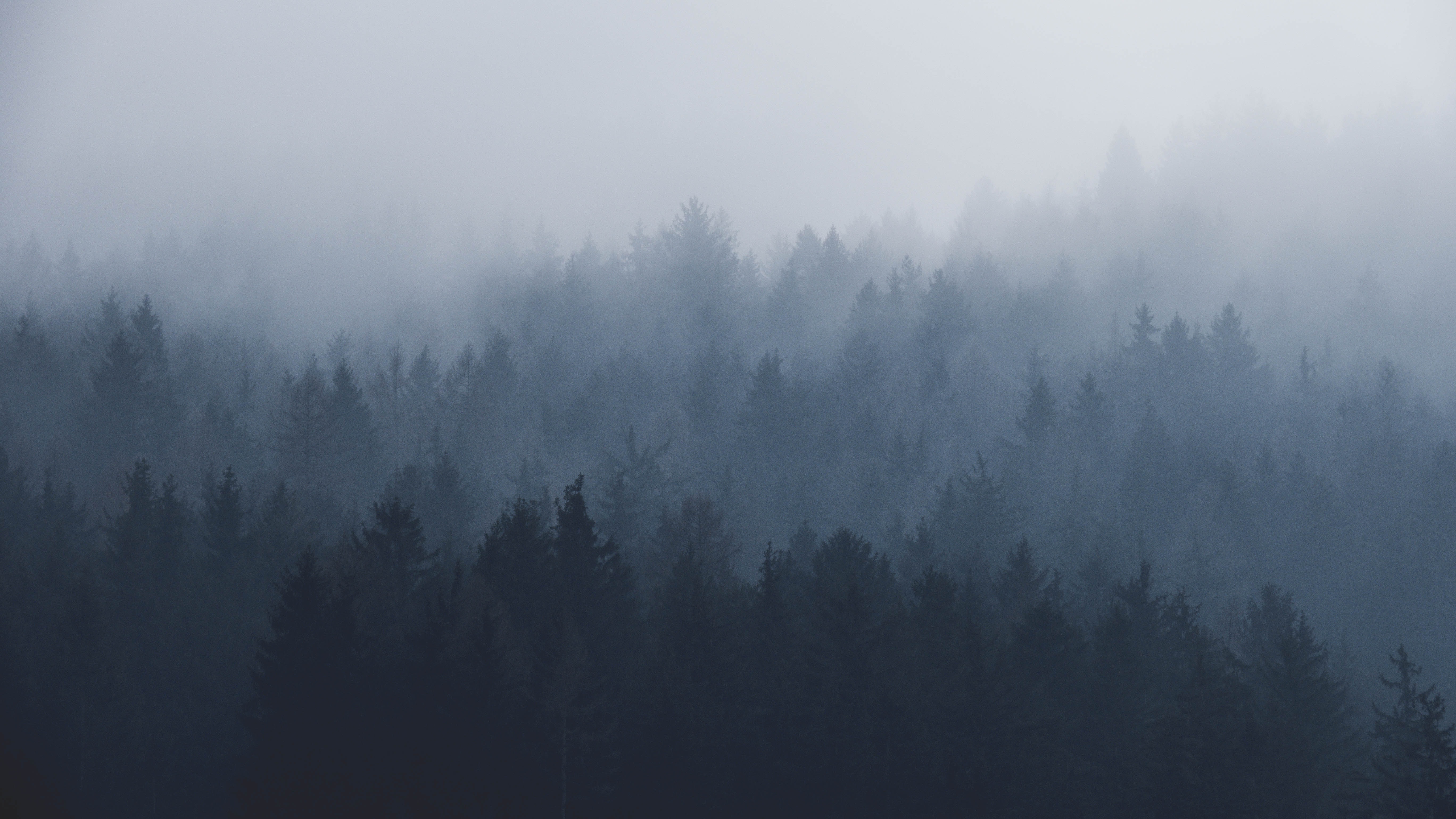paul-pastourmatzis-KT3WlrL_bsg-unsplash