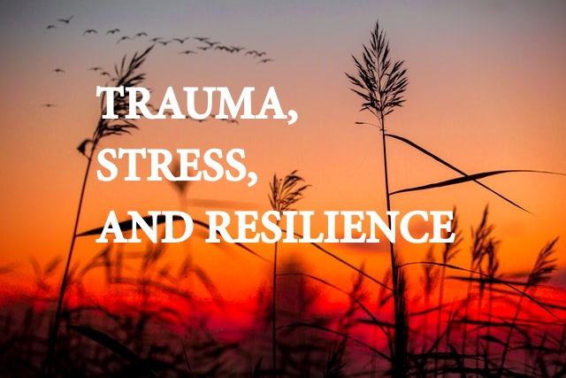 Trauma, Stress, and Resilience