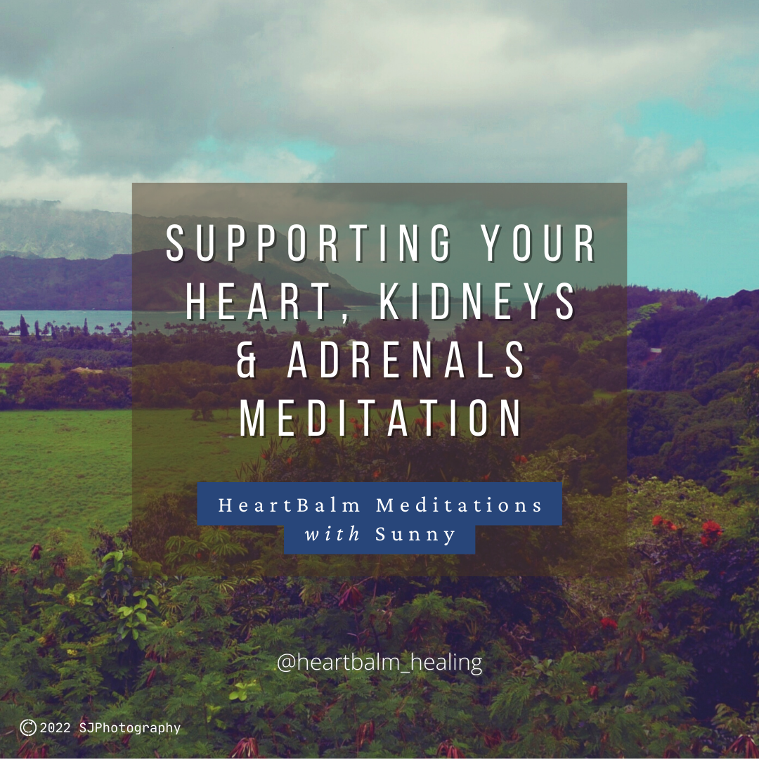 AdrenalsKidneyHeartGraphic
