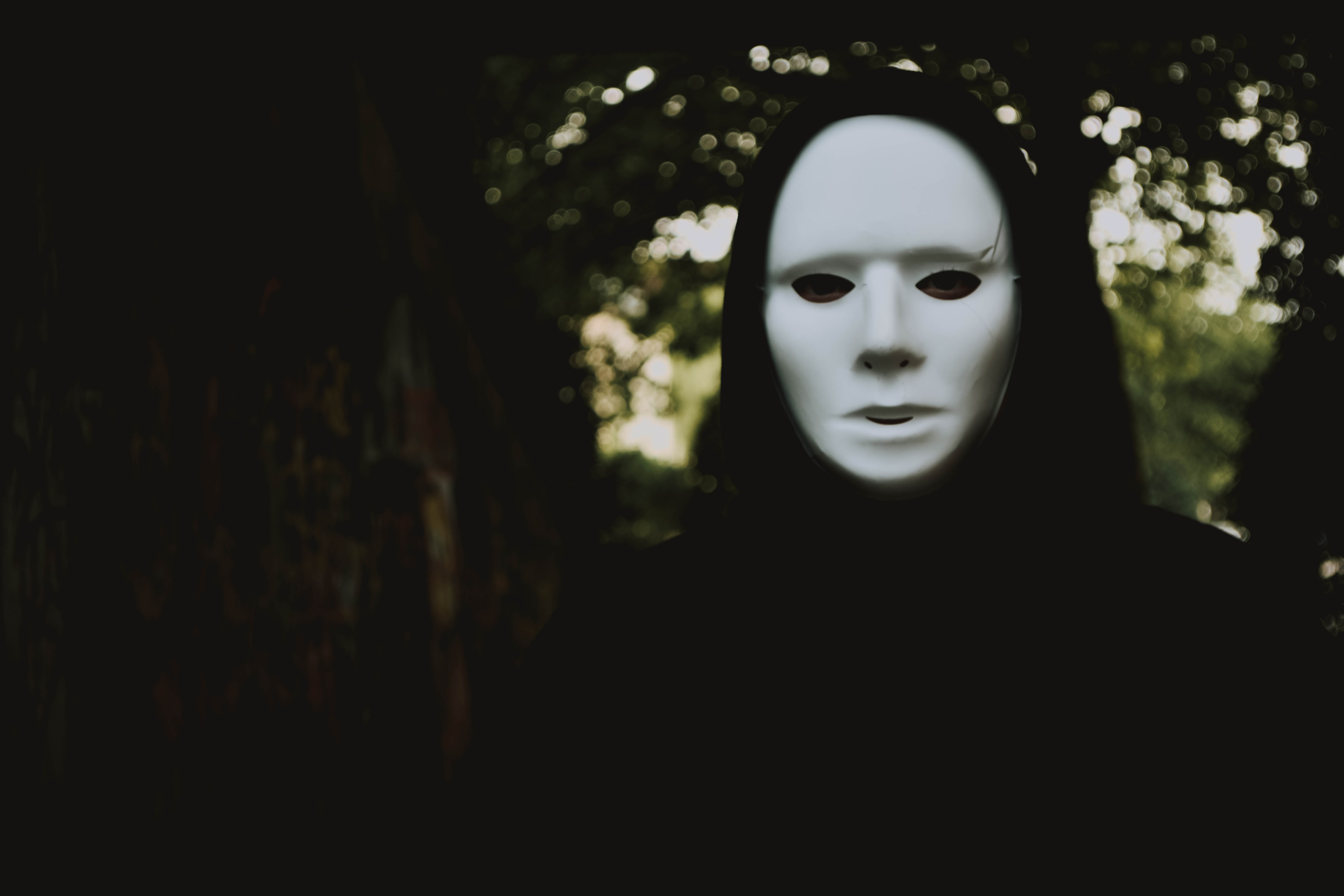 Narcissistic Abuse & Complex Post-Traumatic Stress Disorder pexels-lilartsy-1362371