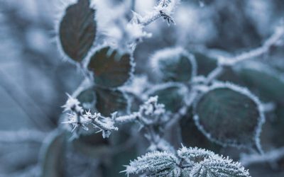 Dissociation – What is It?