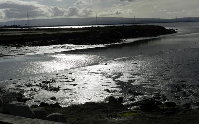 Aunt Sue: Remind Me Who You Are and Why I am Here