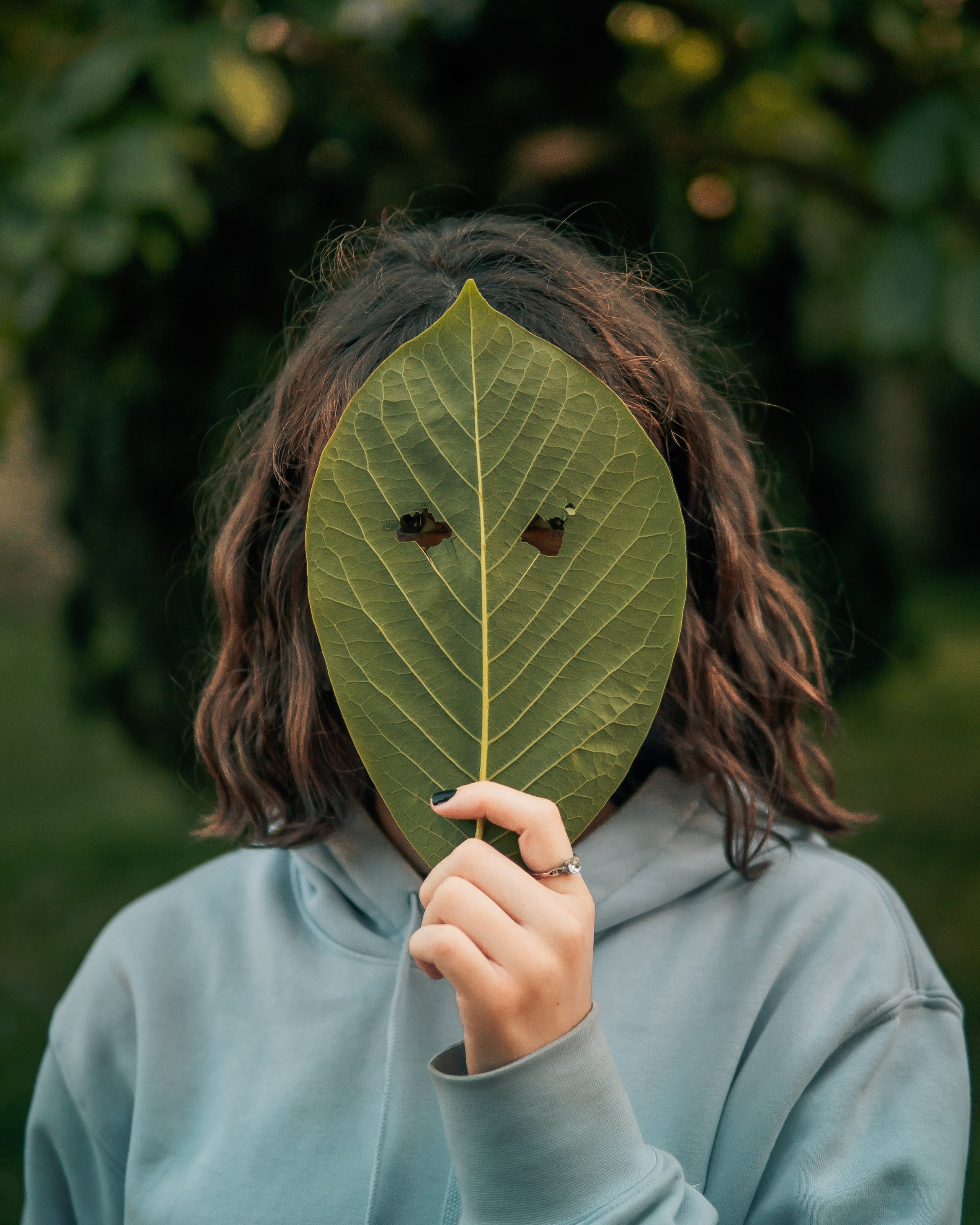 majestic-lukas-Eo7GwCPQnvw-unsplash