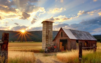 Heritage: Impacted By Disability