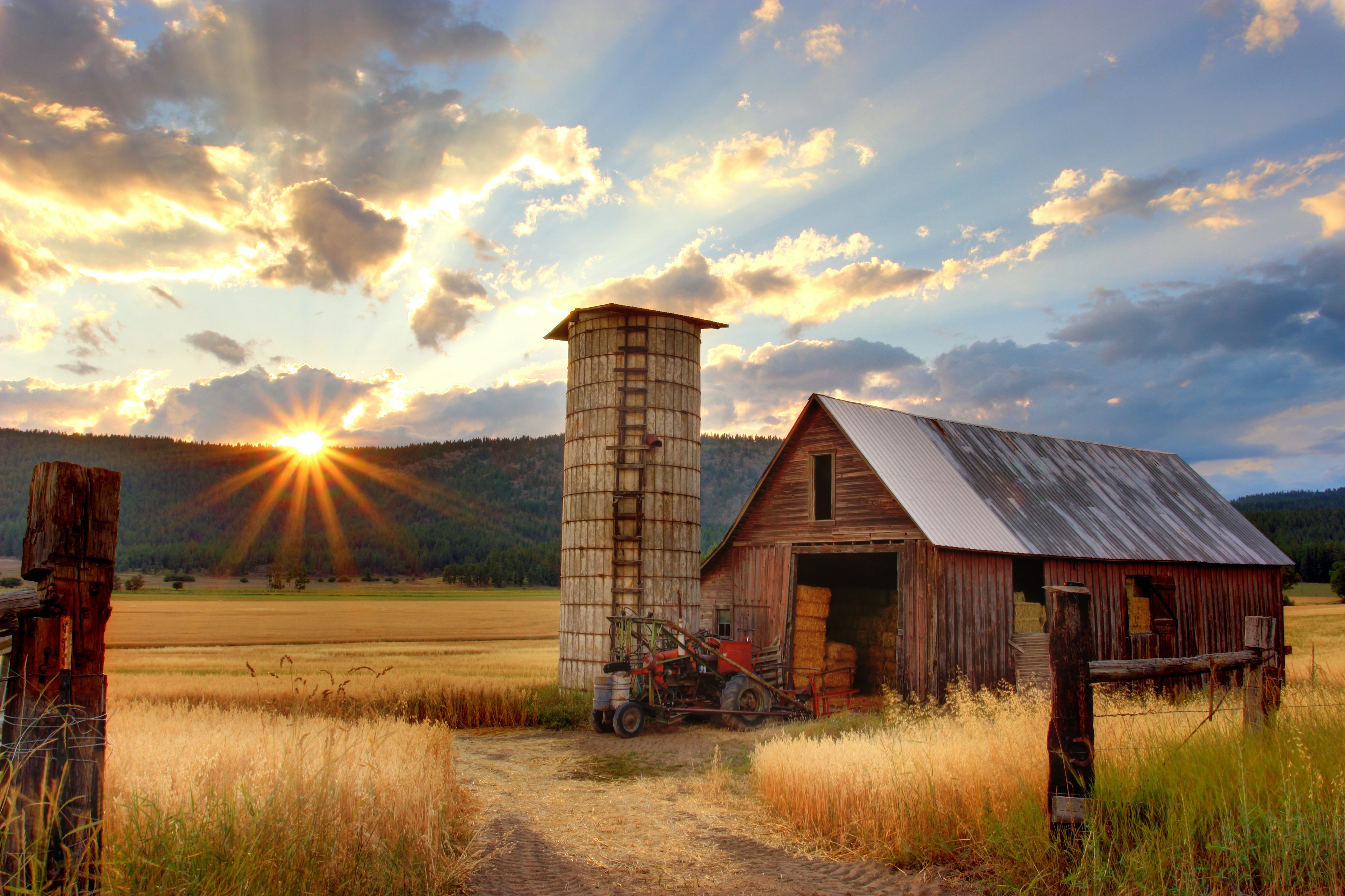 Heritage: Impacted By Disability timothy-eberly-XemjjFd_4qE-unsplash