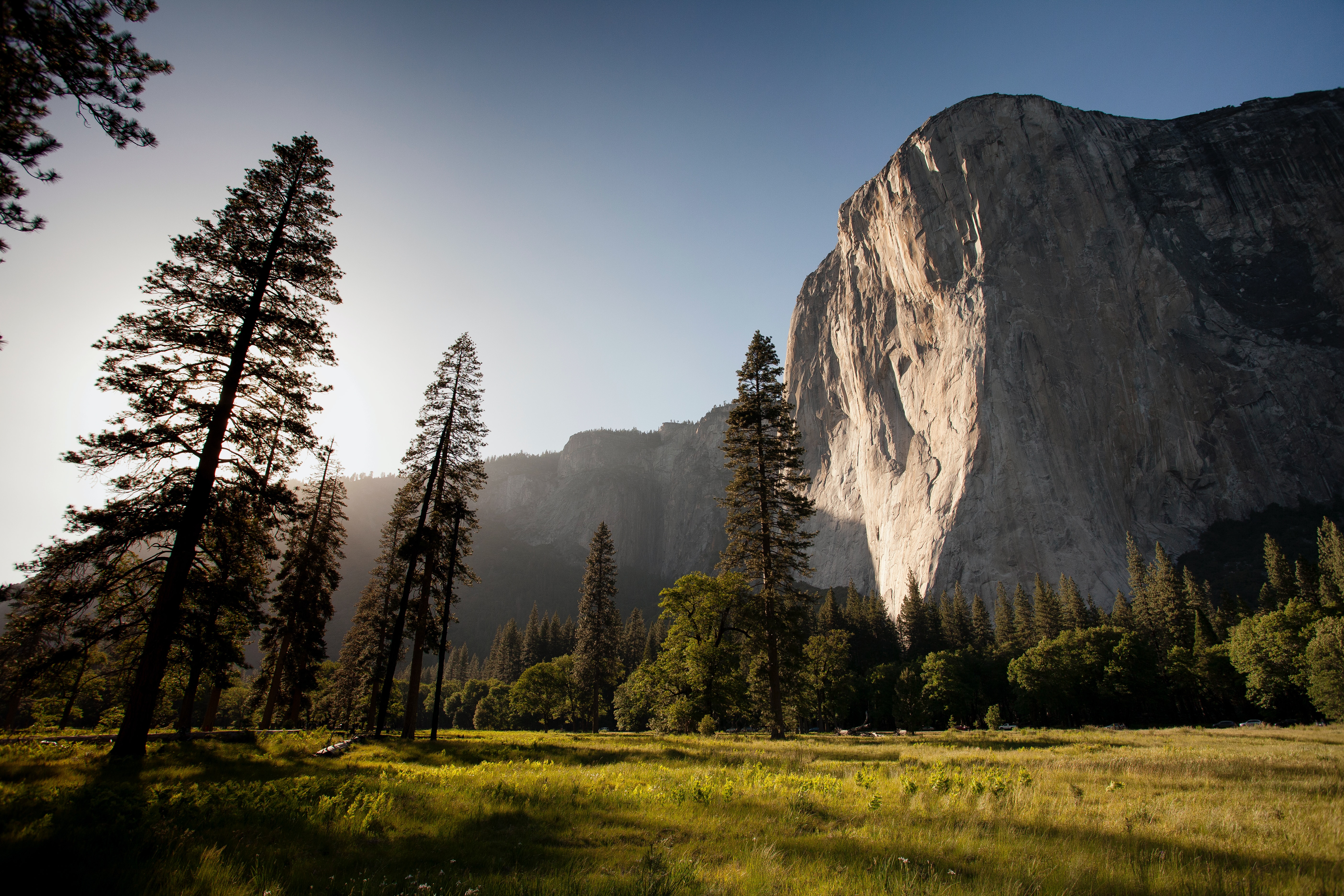 adam-kool-ndN00KmbJ1c-unsplash