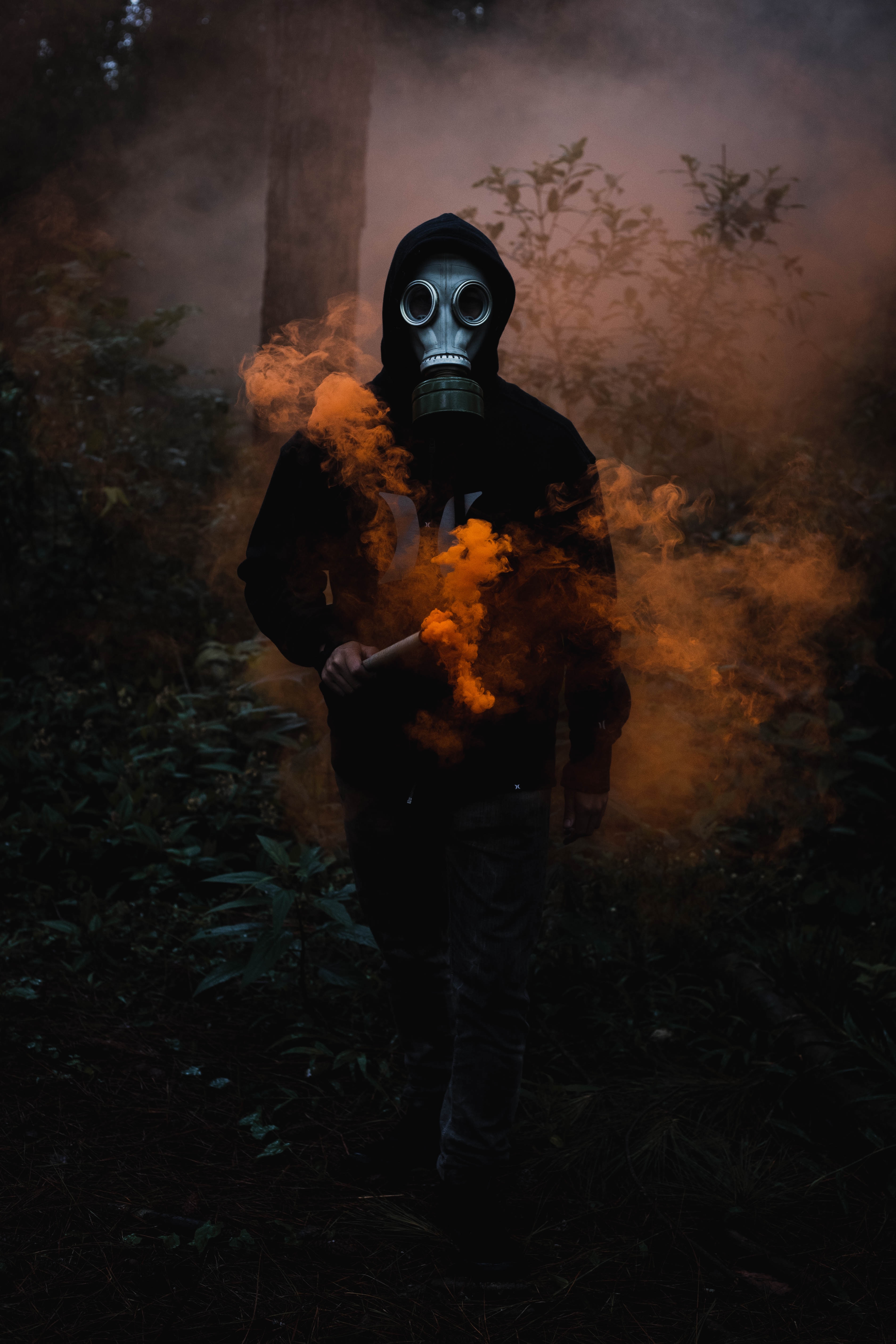 Are You In Toxic Friendship? danilo-alvesd-wDz6iigThrg-unsplash