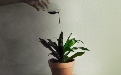 How to Heal From A Toxic Childhood