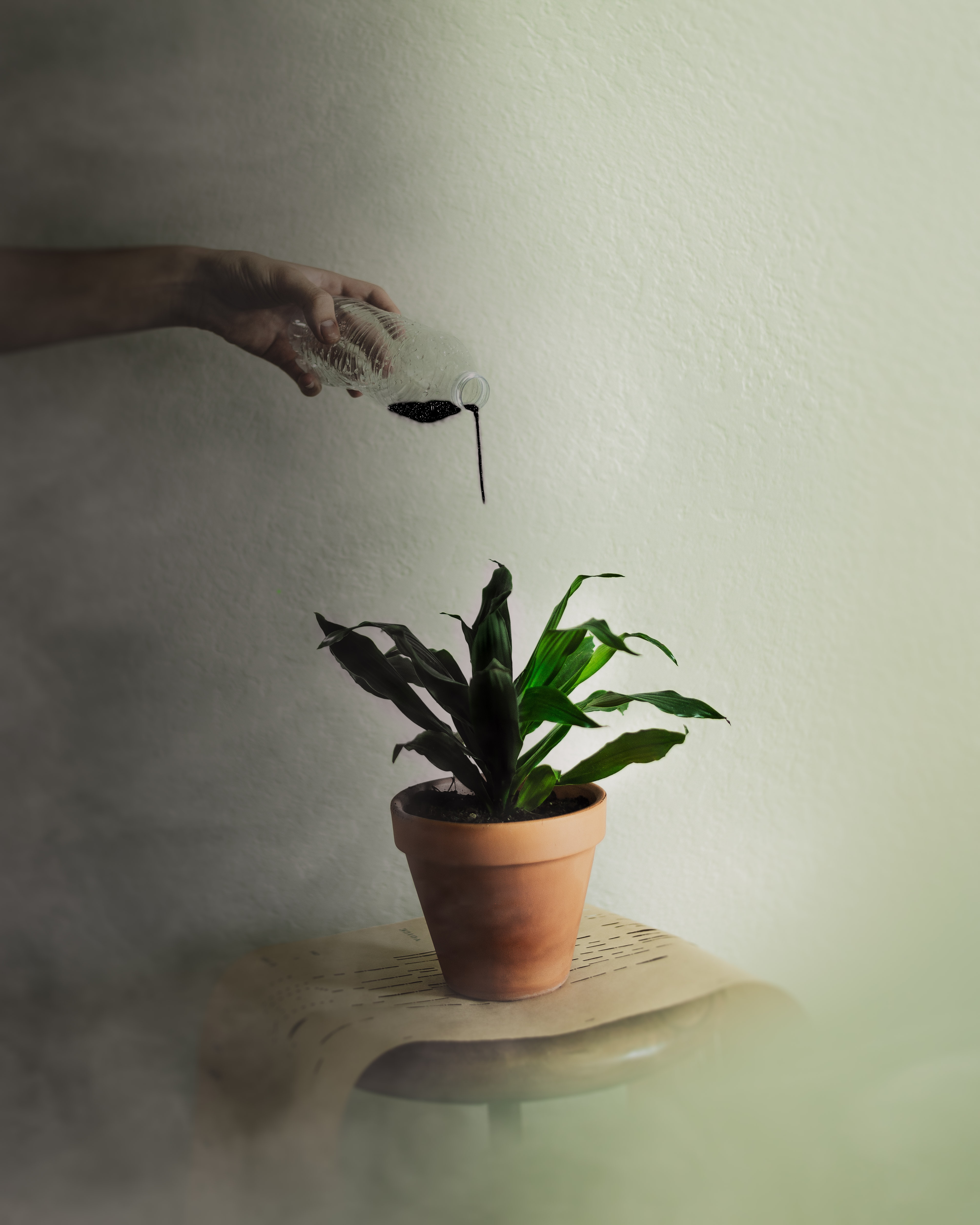 How to Heal From A Toxic Childhood adrien-king-tDhJ96aTiRg-unsplash