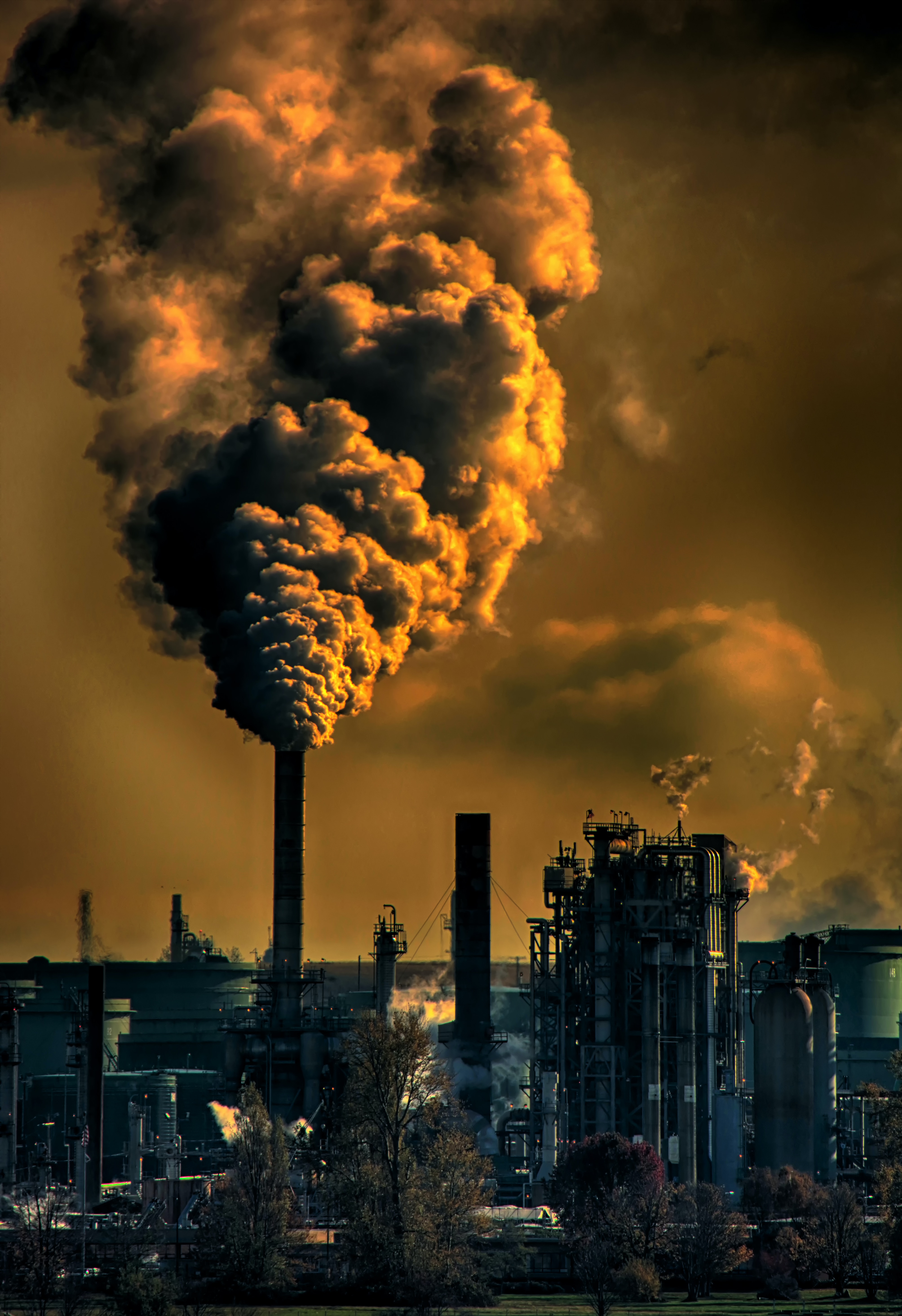 Is it Okay to be Toxic Positive in Serious Illness Support? chris-leboutillier-c7RWVGL8lPA-unsplash