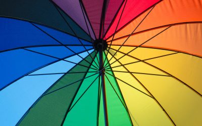 Who is Protecting Our Children from Sexual Predators?