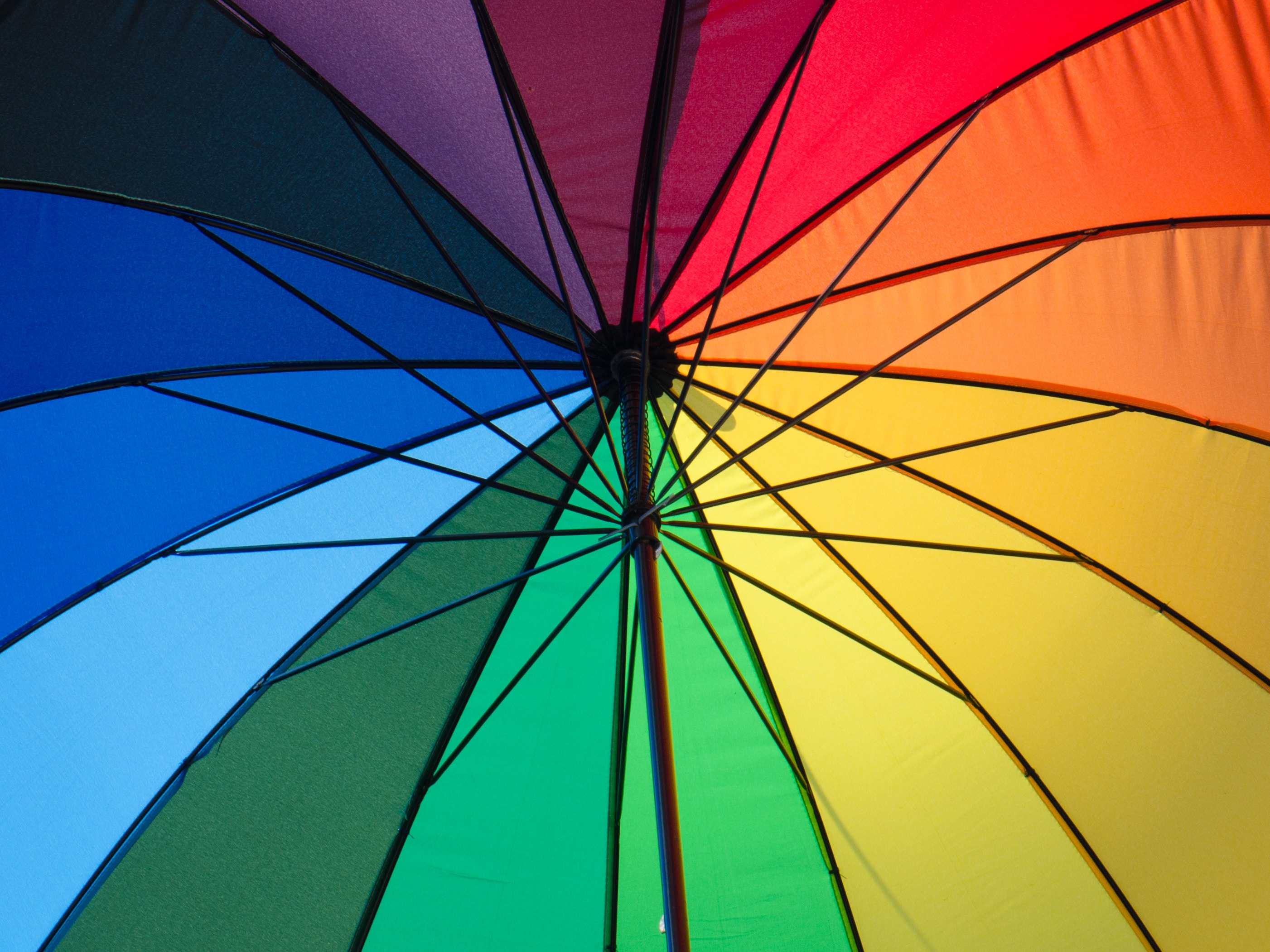 Who is Protecting Our Children from Sexual Predators? stephane-yaich-5oepRKURtAM-unsplash