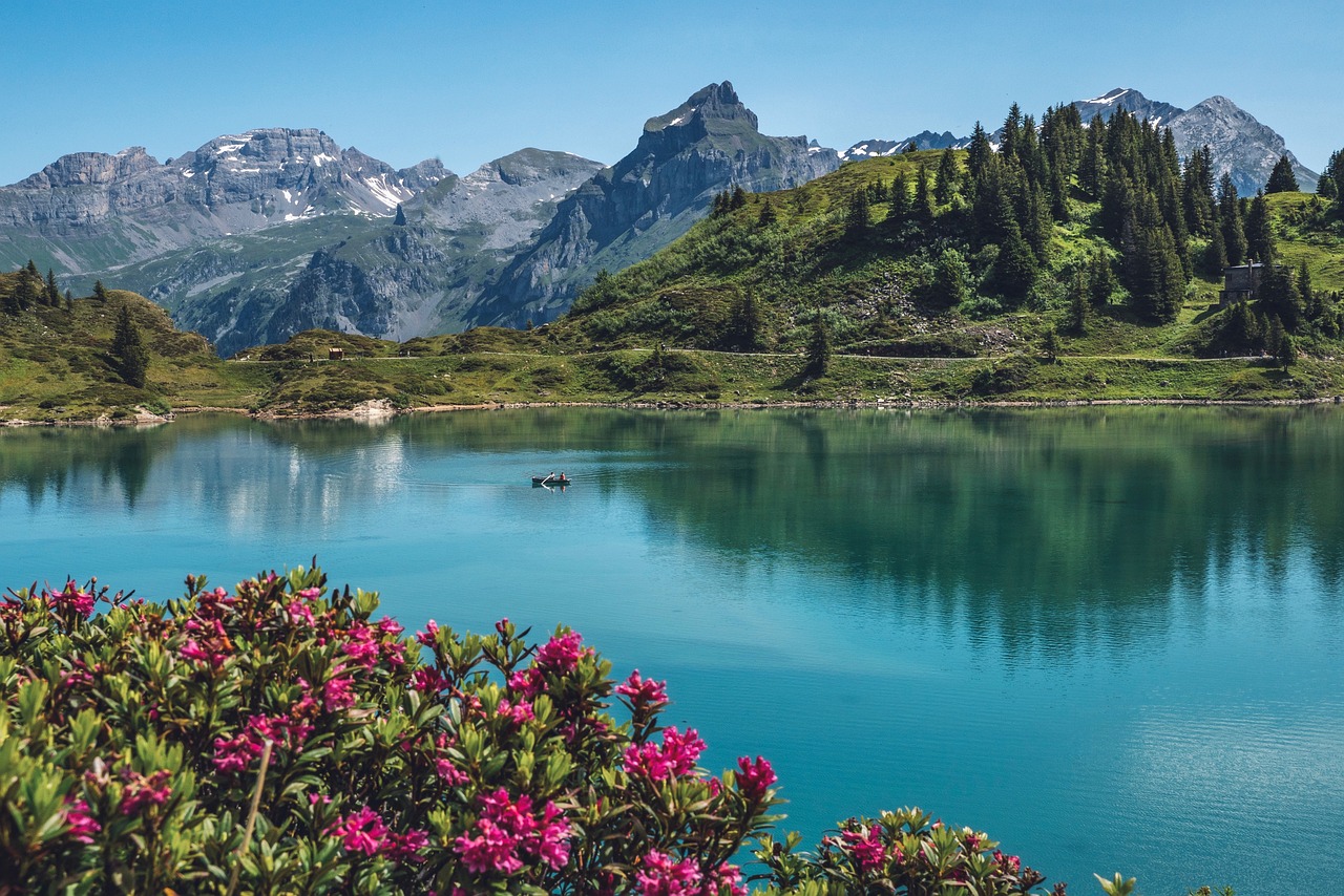 truebsee-5337646_1280