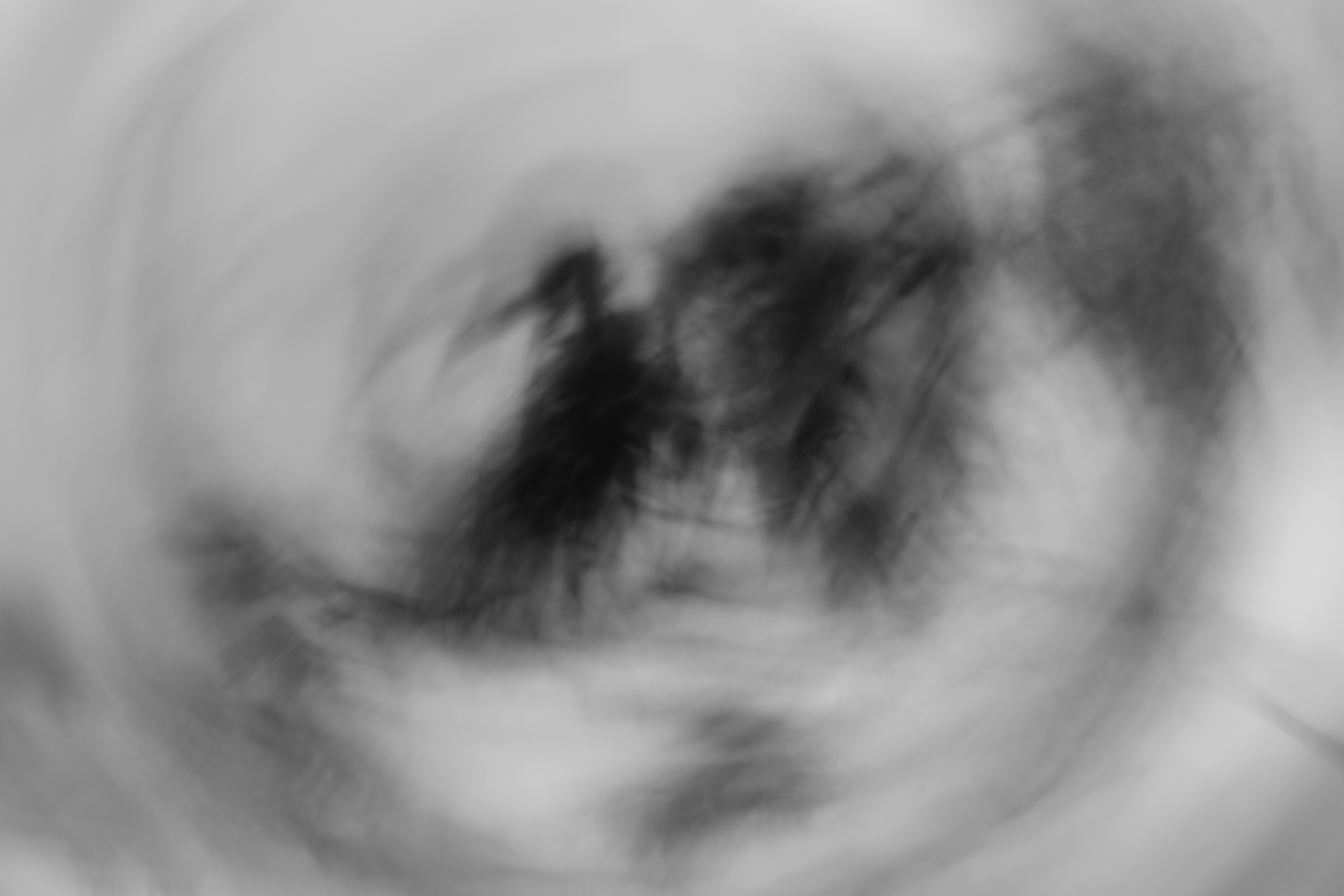 greg-rosenke-BUj0b6pfqY4-unsplash