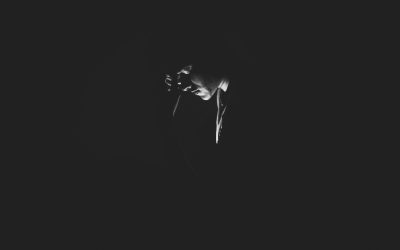 Cast Out of Eden by Toxic Shame