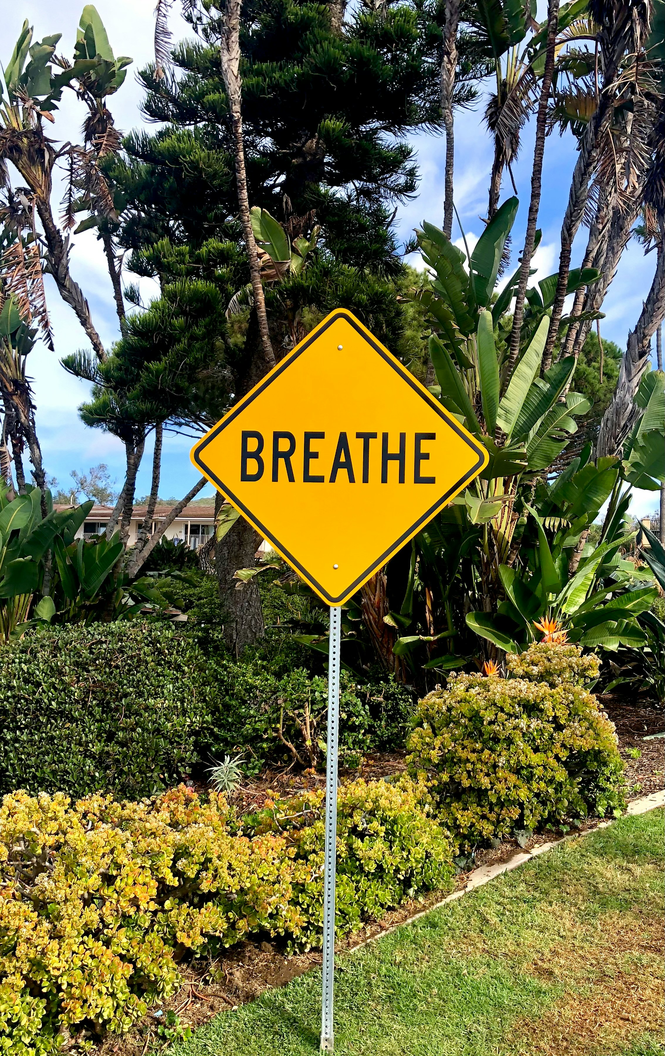 Top 3 Tools to Activate the Relaxation Response bob-osias-6H1SsbxAAD0-unsplash