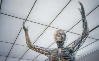 Embracing A Deeper Understanding of Healing and The Body