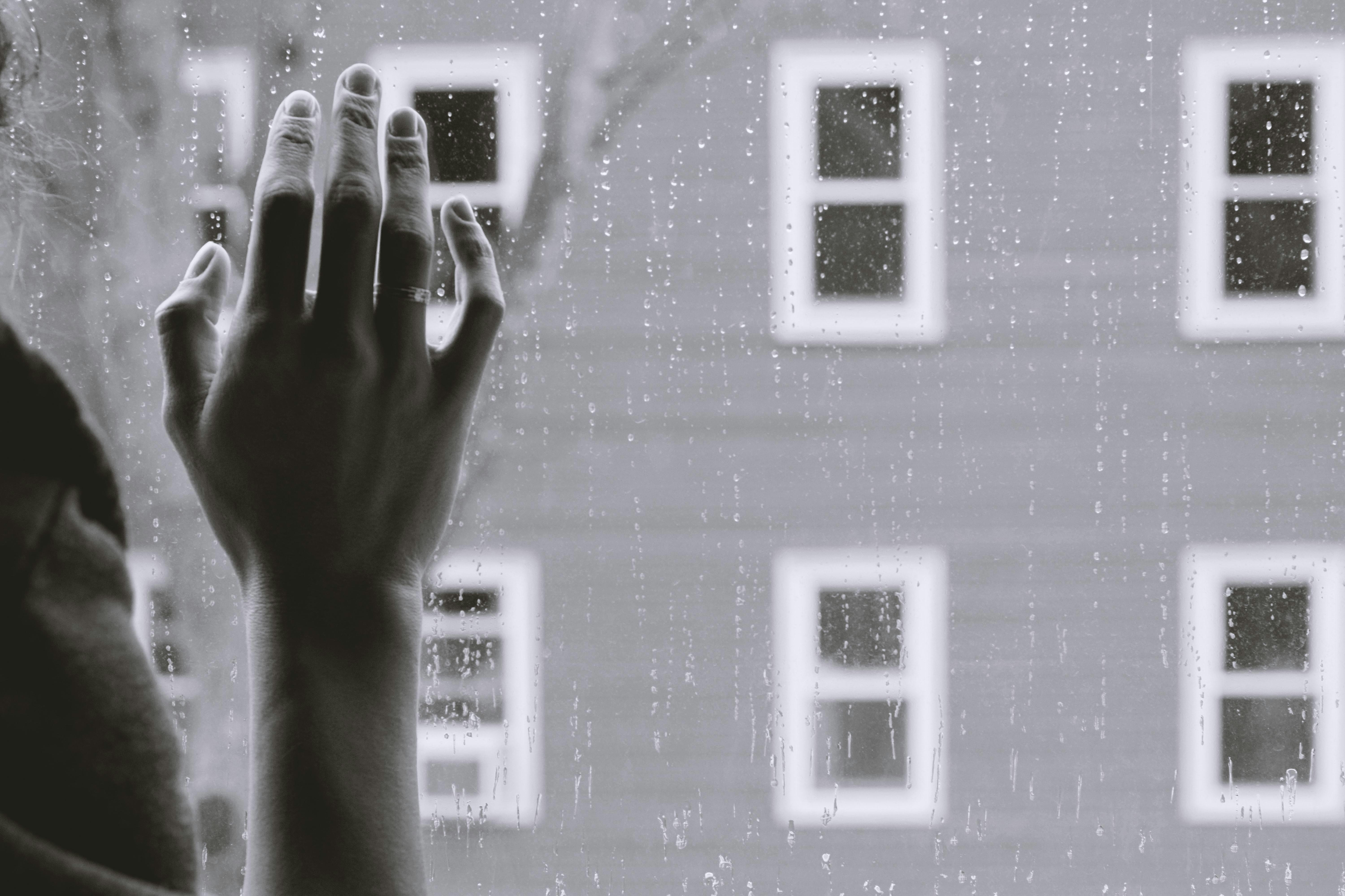 Clinical Observations from an Estrangement Clinician kristina-tripkovic-nwWUBsW6ud4-unsplash