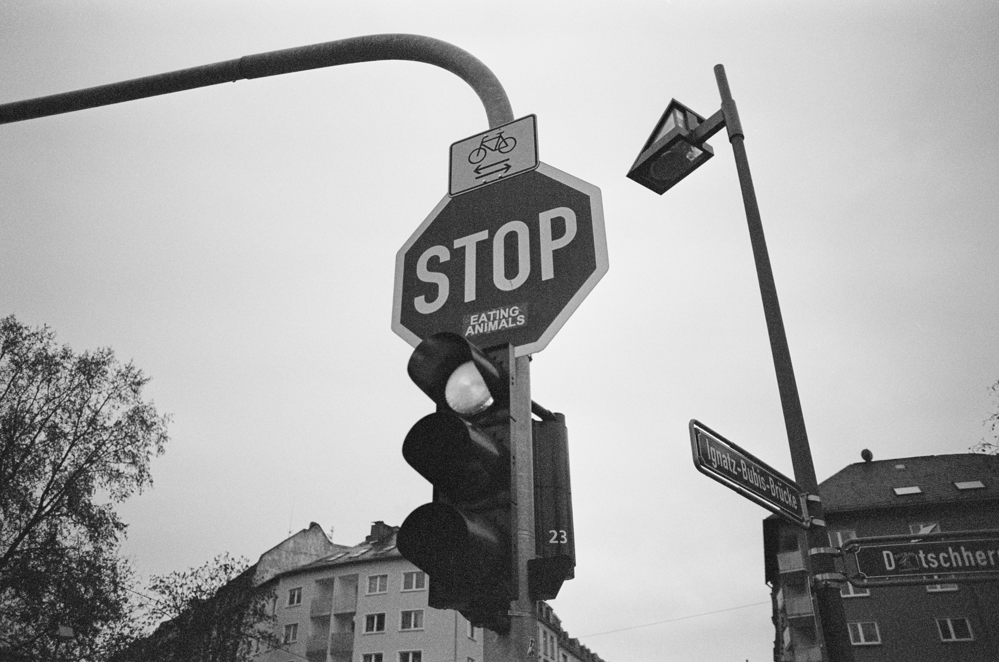 3 Tips to Tame Your Inner Critic markus-spiske-QSiM3pV3dFM-unsplash