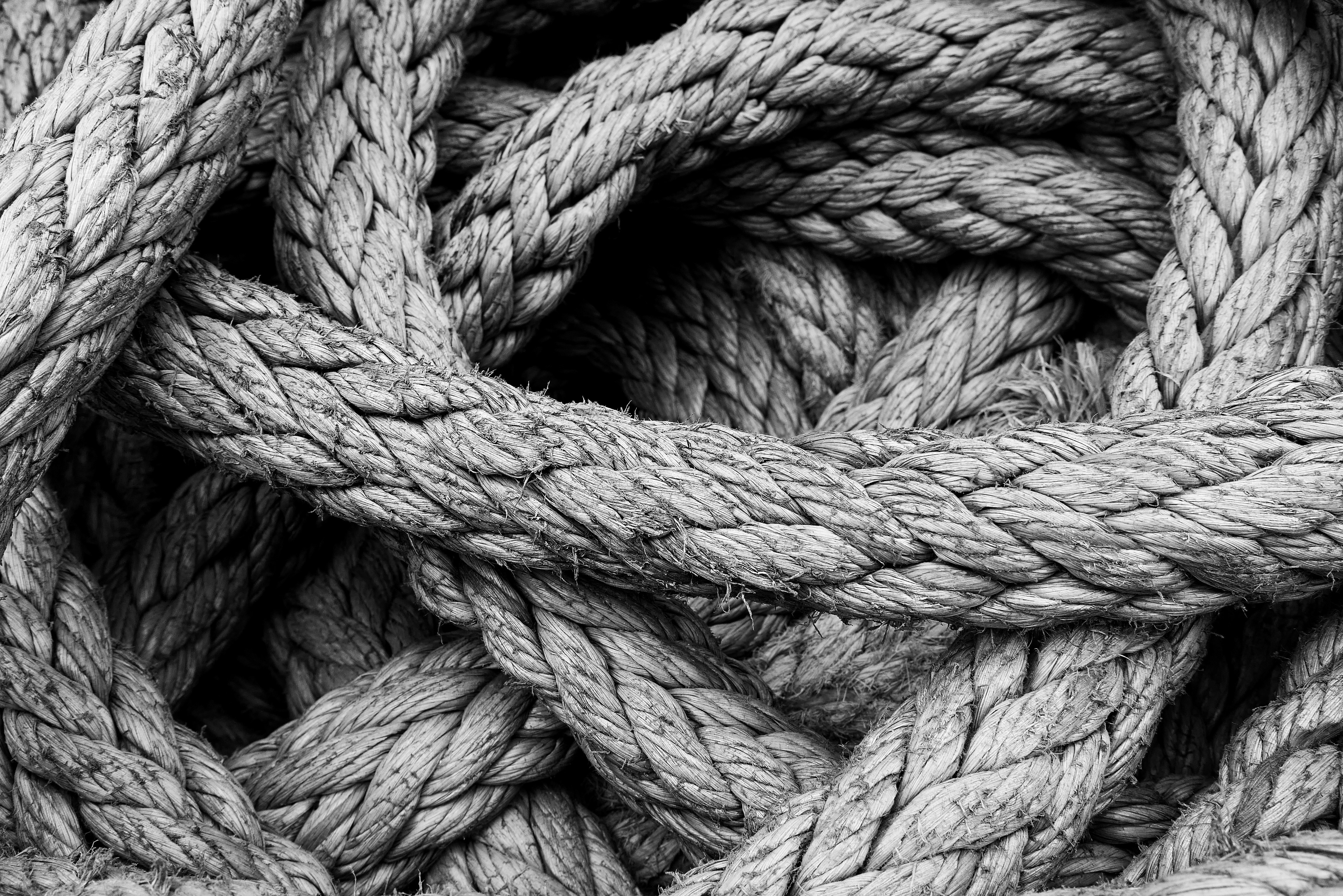 Perception Is King saskia-van-manen-34shxWFCAh8-unsplash