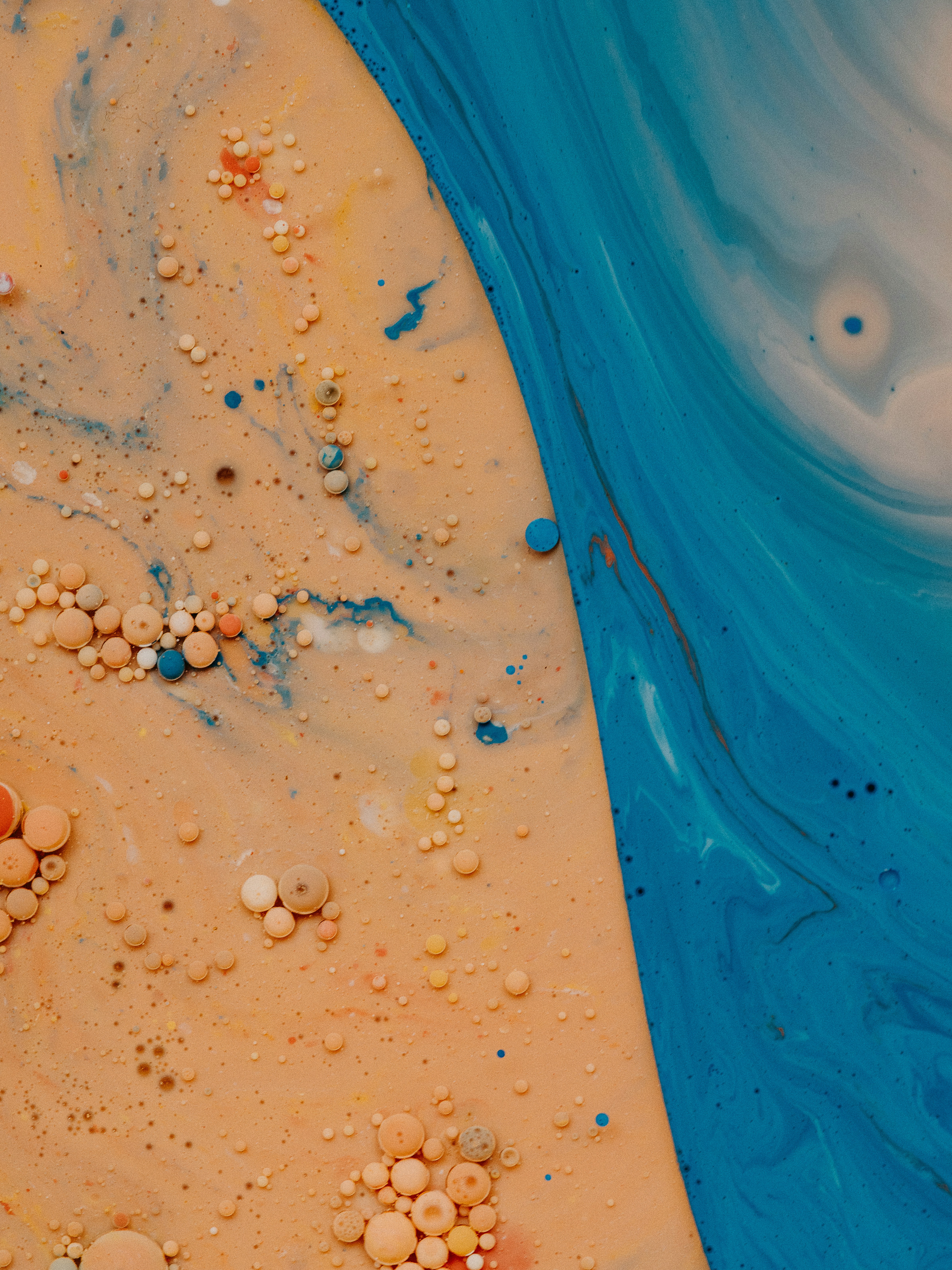 annie-spratt-At3-0ITk3Po-unsplash